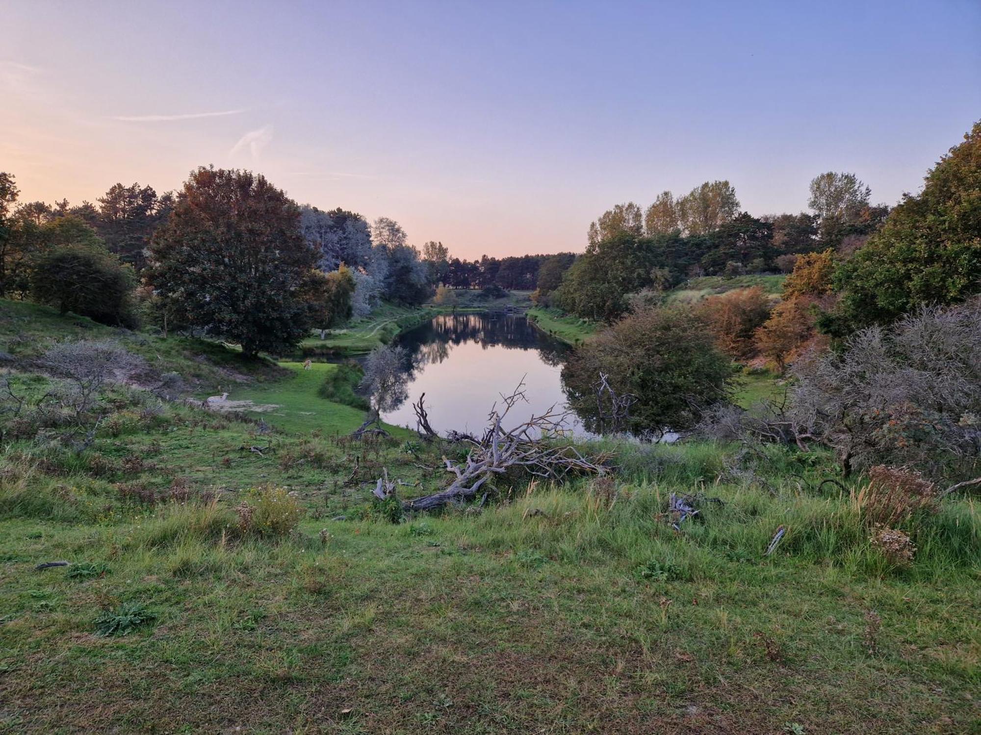 Bed and Breakfast Duin-Vliet Bentveld Zewnętrze zdjęcie